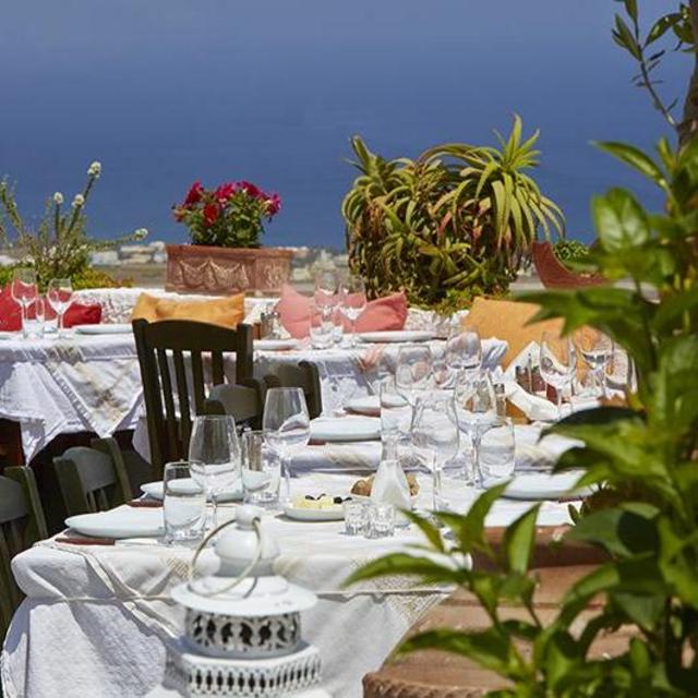 Santorini Dinner at Metaxi