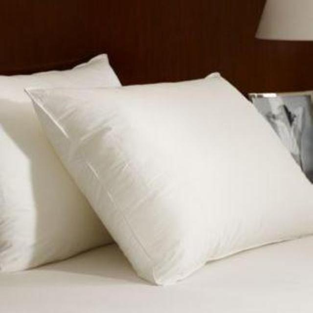 European Down Pillow, King