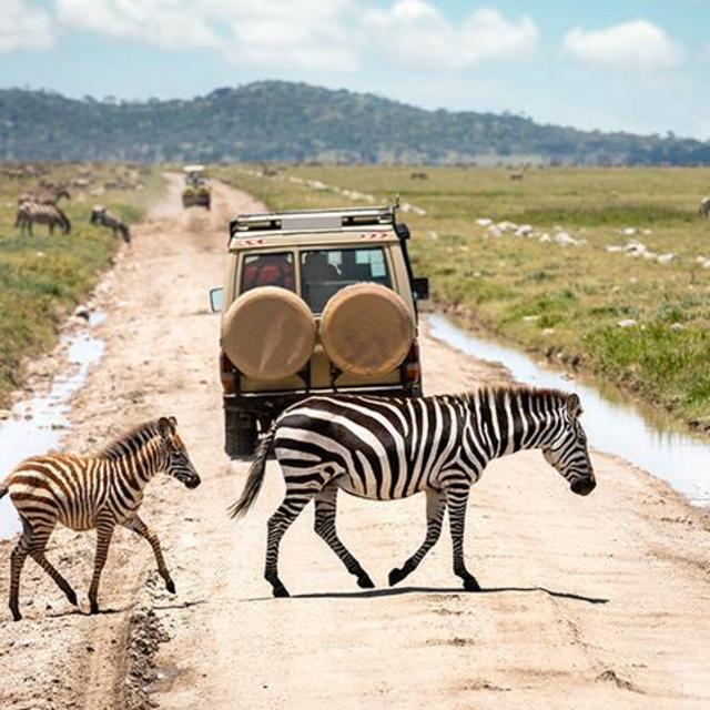Honeymoon Fund (Kenya and Seychelles!)