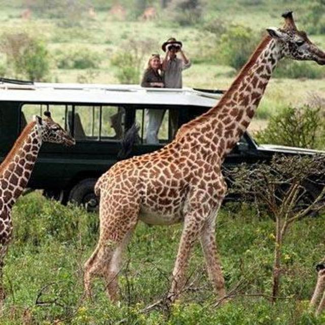Game Drive