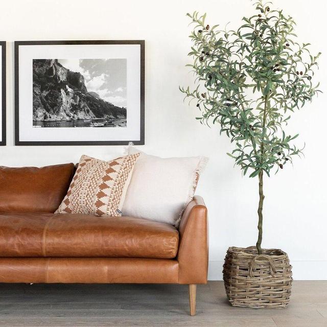 New Couch