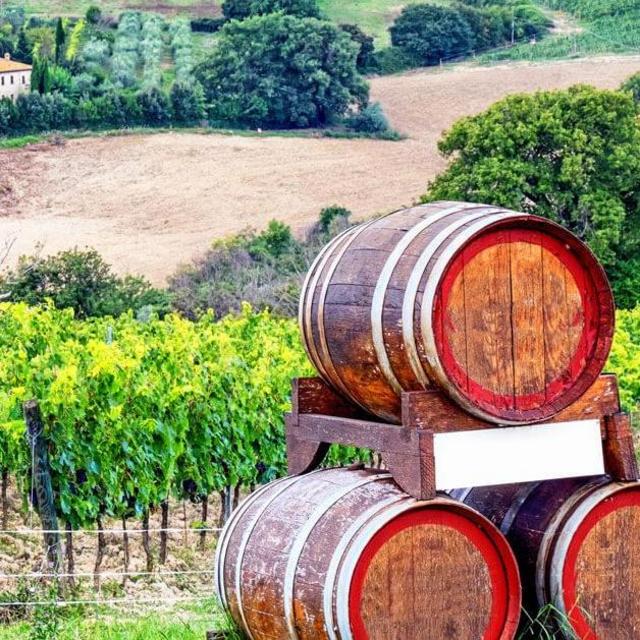 Tuscan Winery Tour (But Diet Coke for Dan)