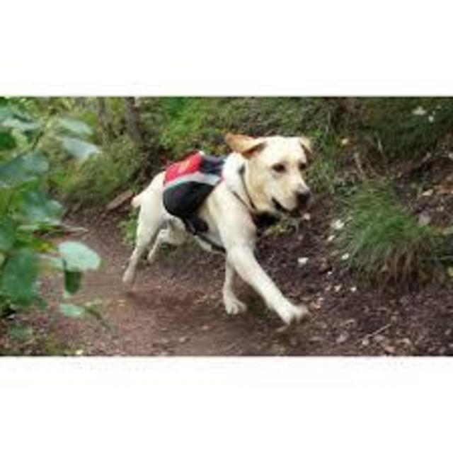 Mountainsmith K-9 Dog Pack