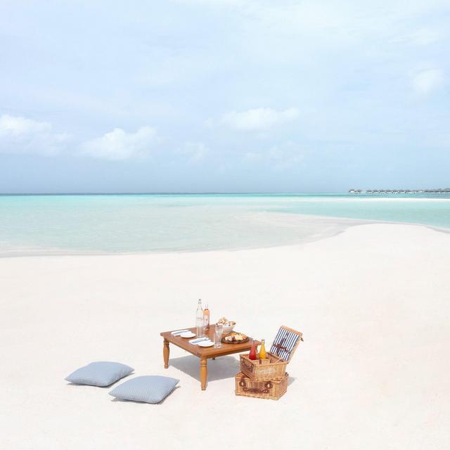 Picnic on Private Island in the Maldives (Honeymoon)