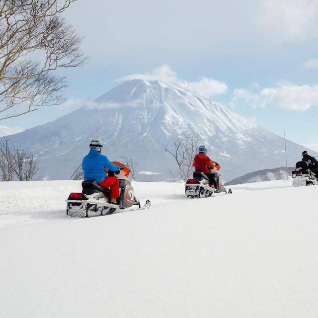 Snowmobiling in Niseko, Japan (Honeymoon!)