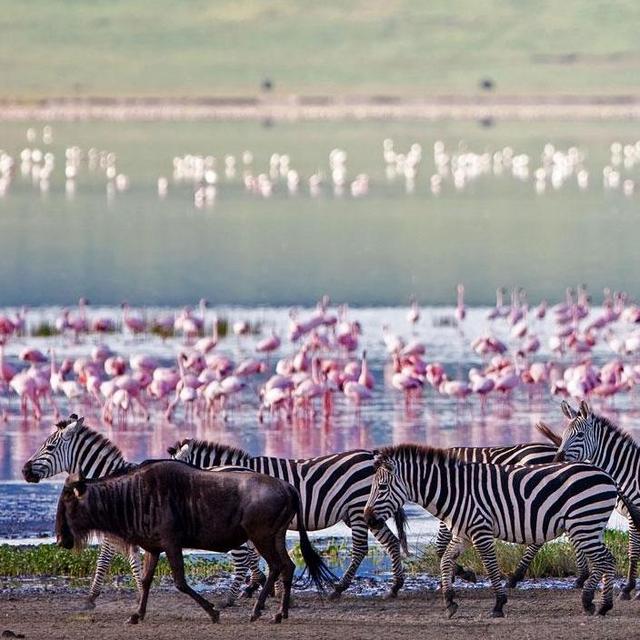 Breakfast at Ngorongoro Crater