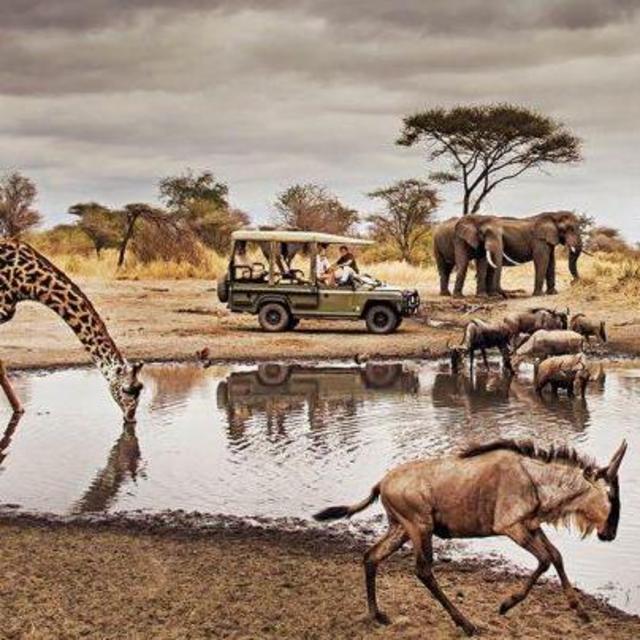 Private Game Drive - Day 1