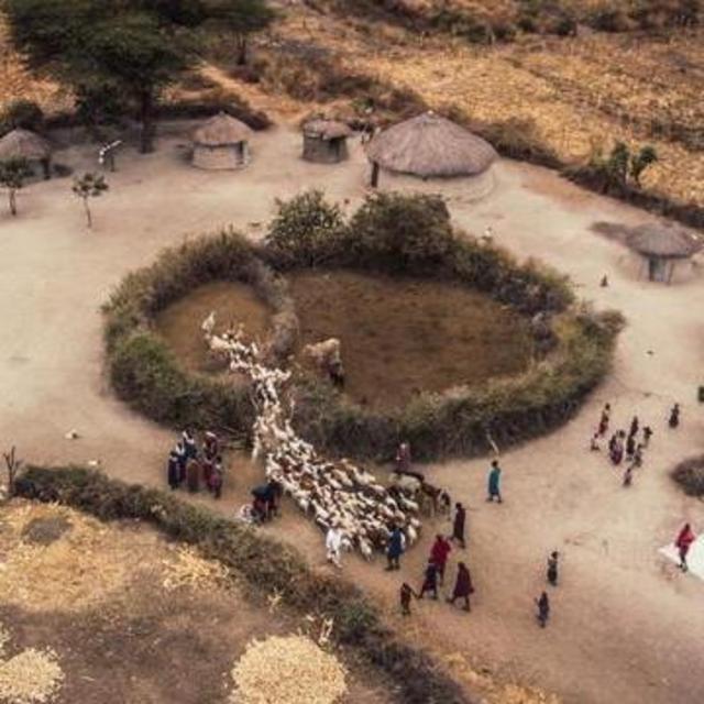 Maasai Boma