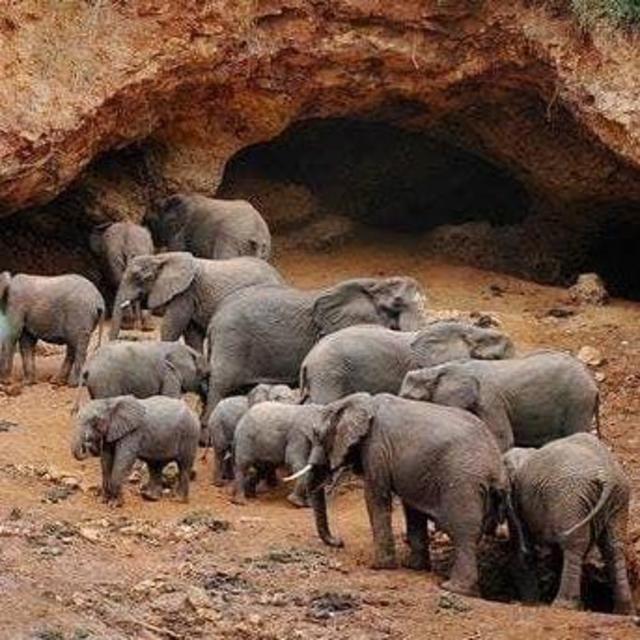 Elephant Caves - Hike