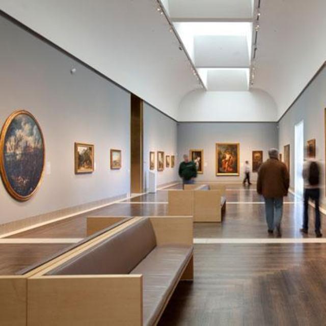 Houston Museum of Fine Arts Membership for 2