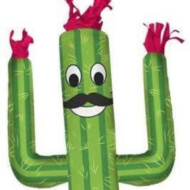 Cacuts Inflatable Tube Man