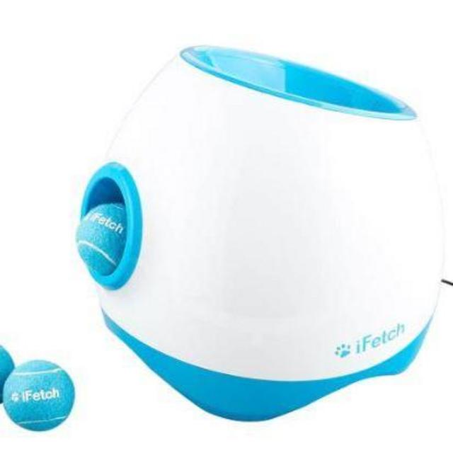 iFetch Too Automatic Ball Launcher Dog Toy--Train Hammy's Brain!