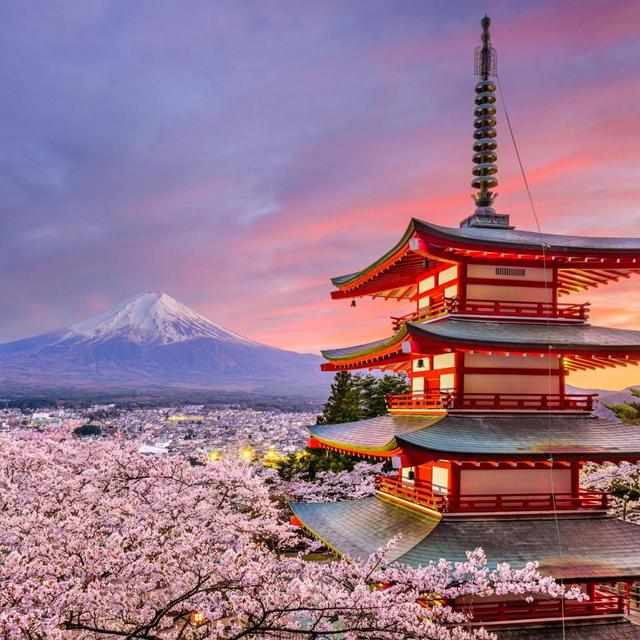 Japan Honeymoon Fund
