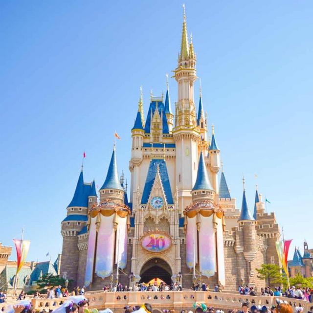 David's First Trip to Disney [Tokyo Edition]