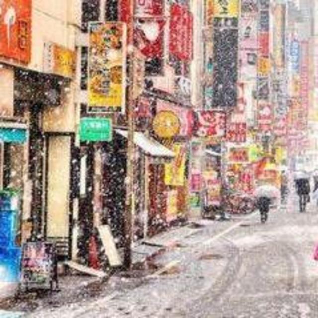 Winter Honeymoon in Japan (Venmo Option)