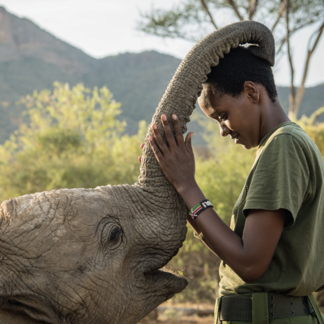 Elephant Sanctuary in Thailand (Honeymoon)