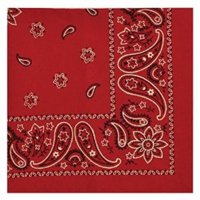 Red Bandana Cloth Napkin- Set of 4