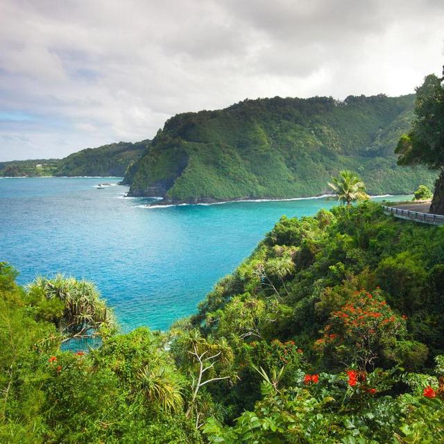 Hawaii Honeymoon