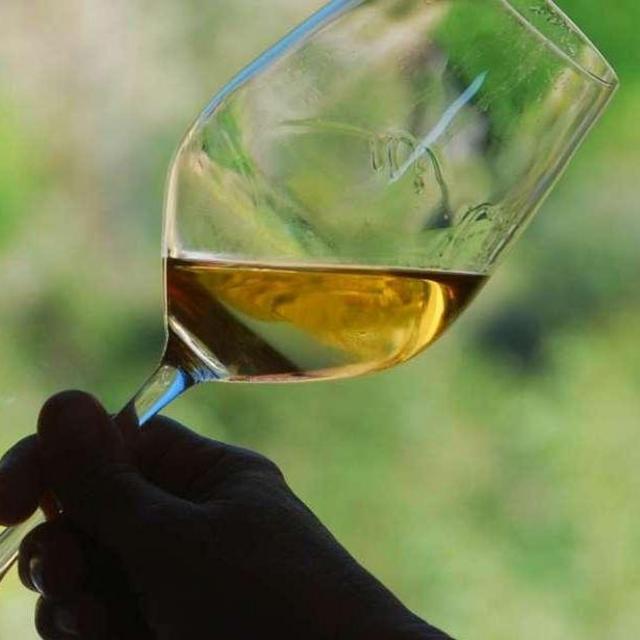 Manarola: Cinque Terre Wine Tasting