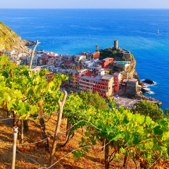 A journey through the vineyards and wines of Cinque Terre.