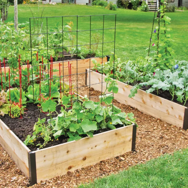 Start Our Garden!