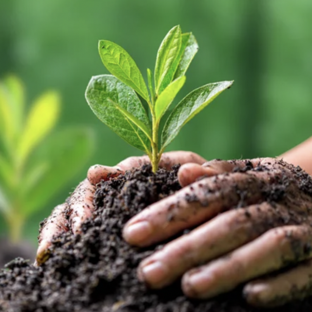 Environmental Action Fund Donation (Charity Navigator's Fund)