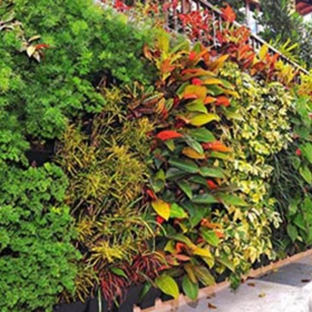 VGP Tray Living Wall System Component - VGP-01 VGP Planting Tray, black recycled polypropylene