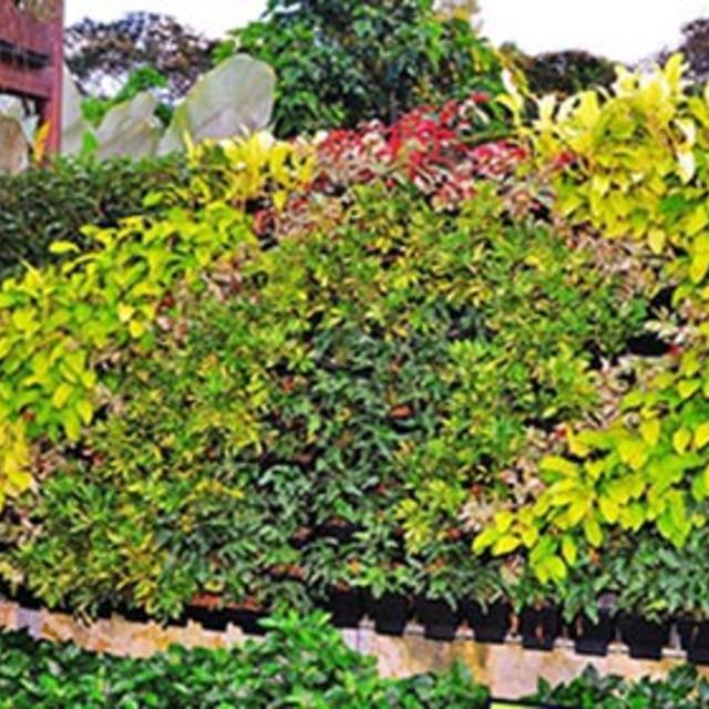 VGP Tray Living Wall System Component - VGP-1636 Mounting Rack for VGP system, 16”W x 36”H x 7/8”D, holds up to 12 VGP trays