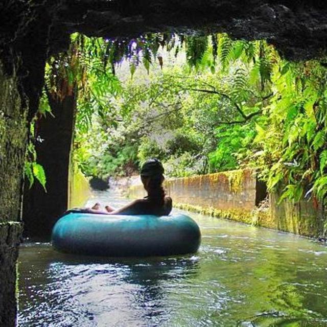 Cane Field & Cave Tubing Tour