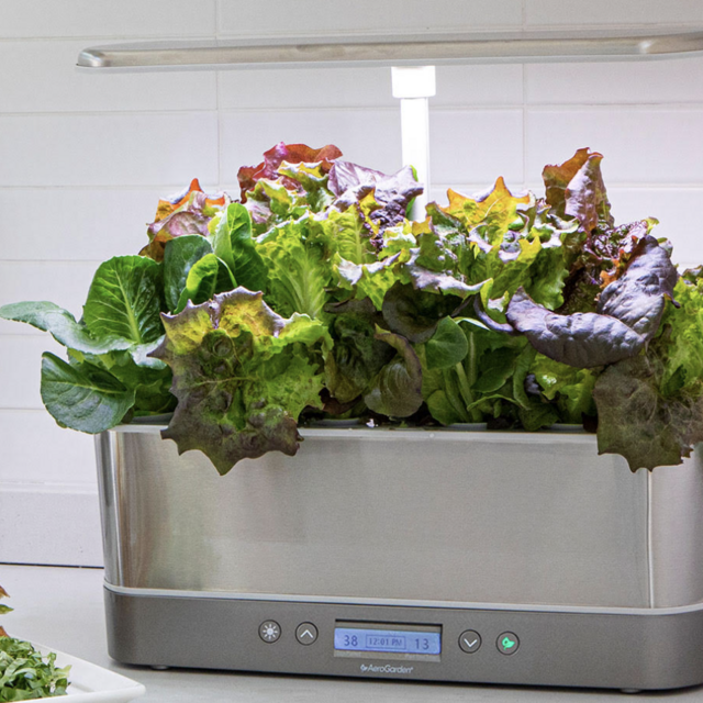 AeroGarden: Seed Kits