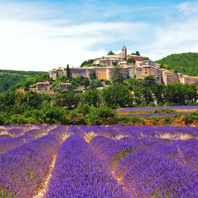 Lavendar Fields Tour for Two