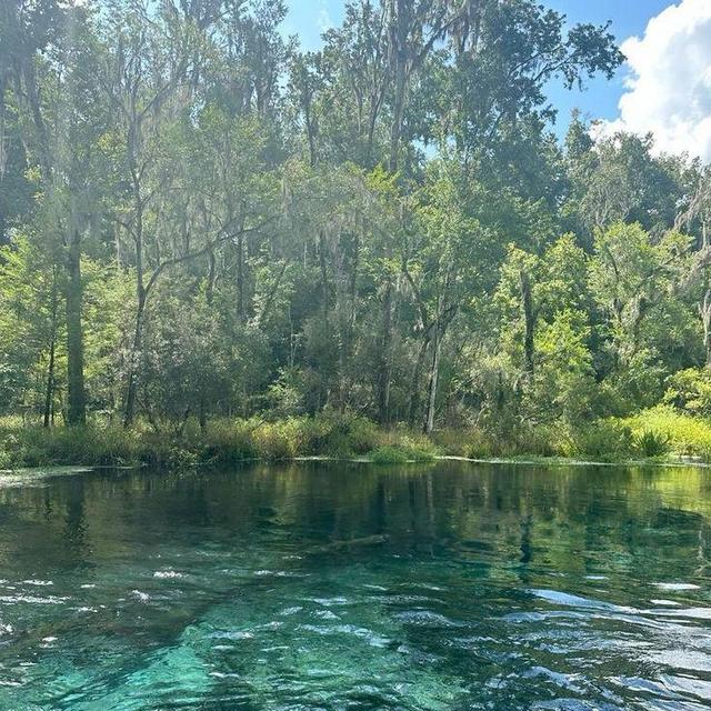 Charity of Choice : 1000 Friends of Florida