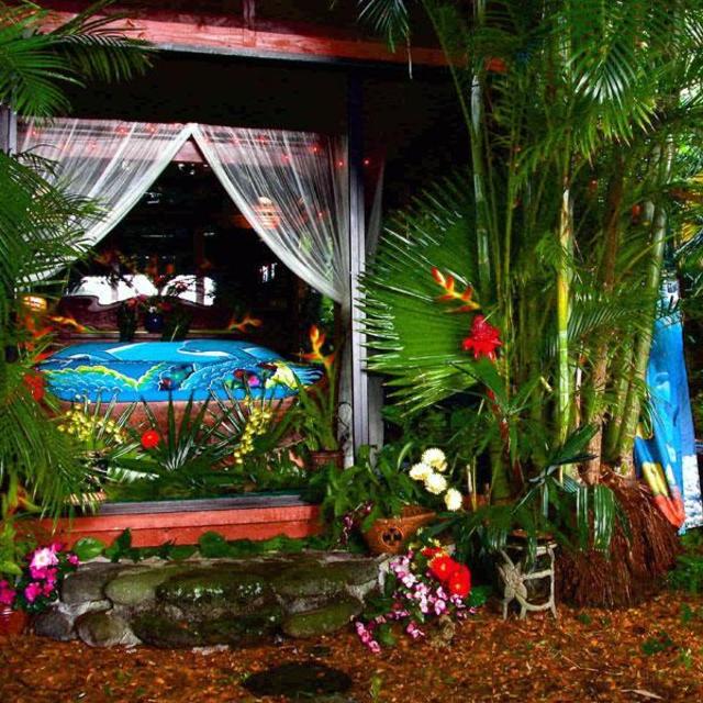 Dragonfly Ranch