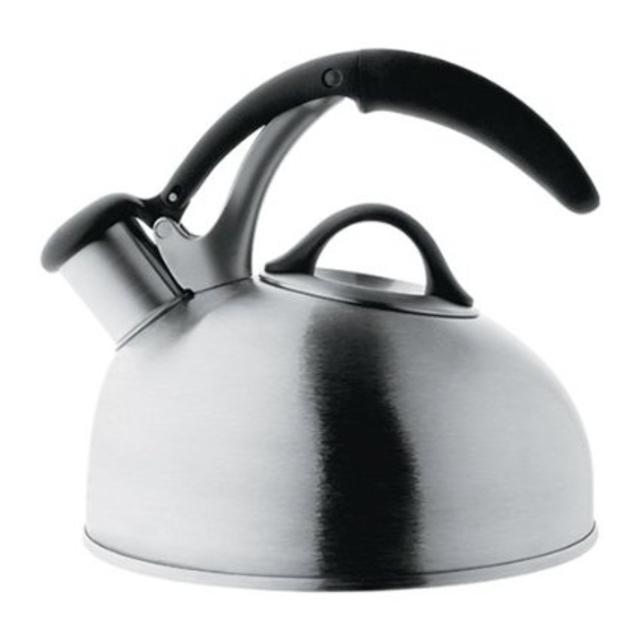 OXO Good Grips Pick Me Up Tea Kettle, Brushed Stainless