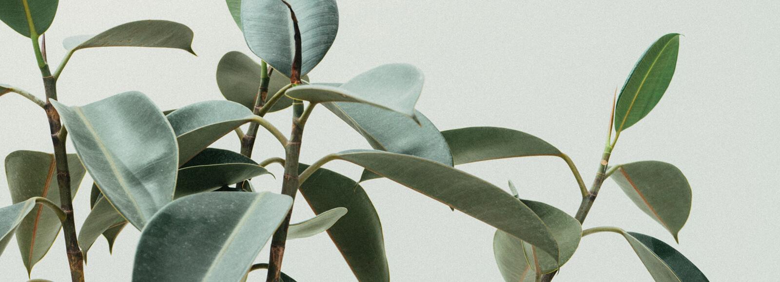 Ariel Hansen and Ben Manship's Wedding Registry on Zola