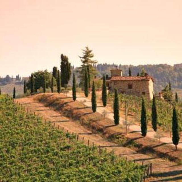 Winery Tour + Tasting