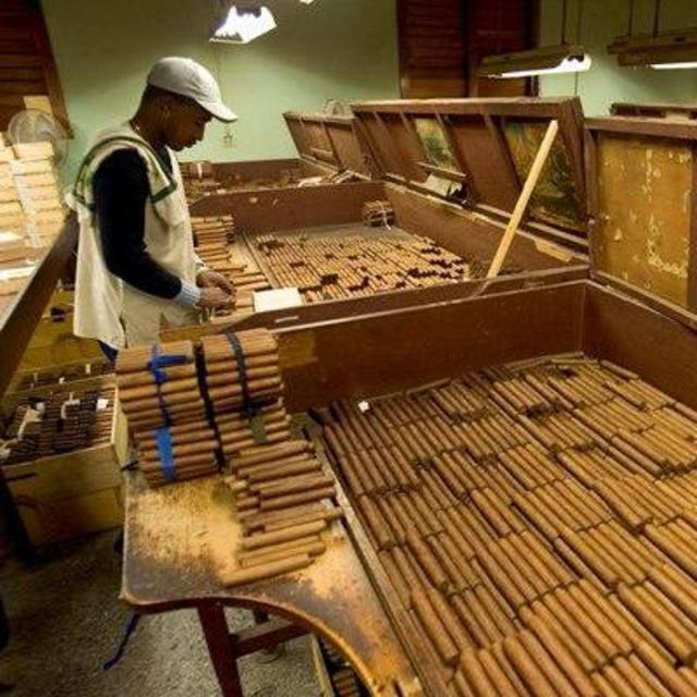 Cuban Cigar Tour at the world famous Partagas Cigar Factory.