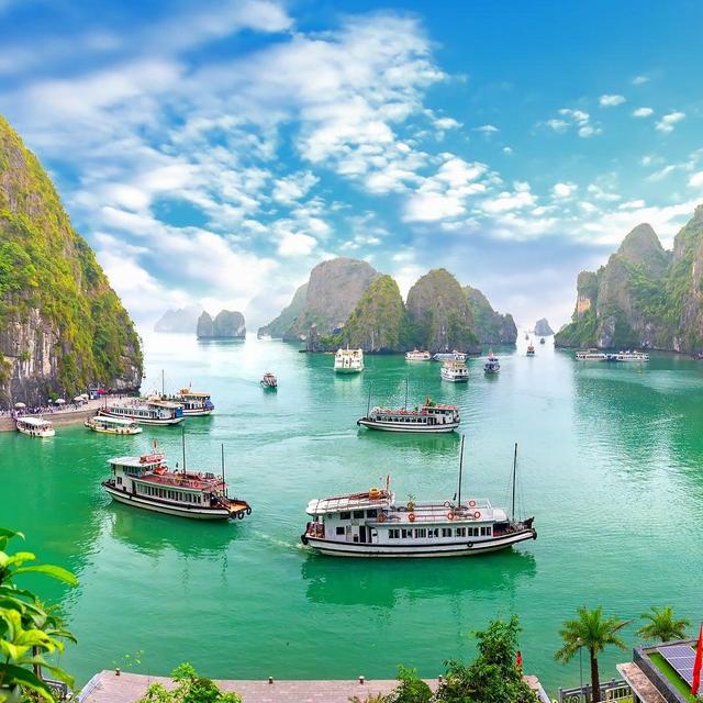 Honeymoon Cruise on Halong Bay