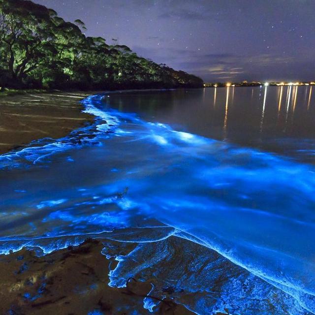 Trip to Maldives (Sea of Stars)