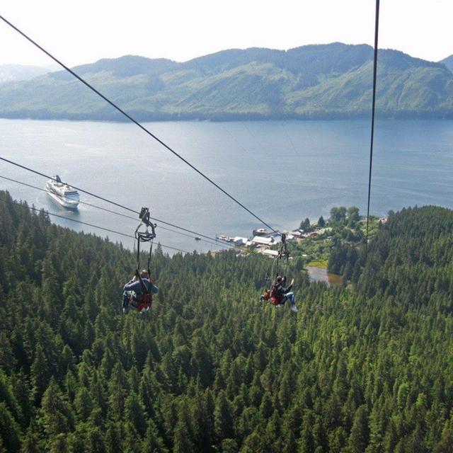 Ziplining Adventure