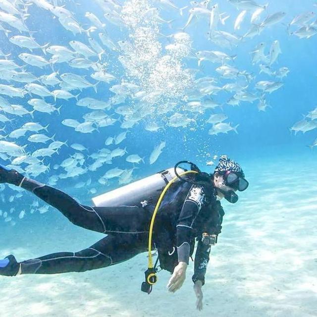 Honeymoon Scuba Diving Excursion!