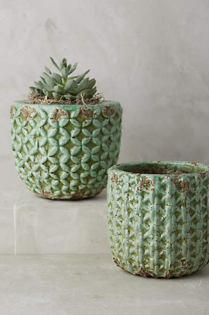 Shade Tree Garden Pot
