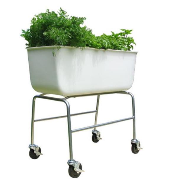 Foodmap Container (tall) FM01
