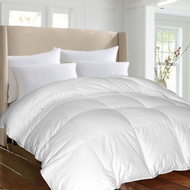 1000 Thread Count All Season Down Alternative Comforter (King)                     by                              Blue Ridge Home Fashion