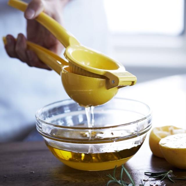 Williams-Sonoma Open Kitchen Lemon Press