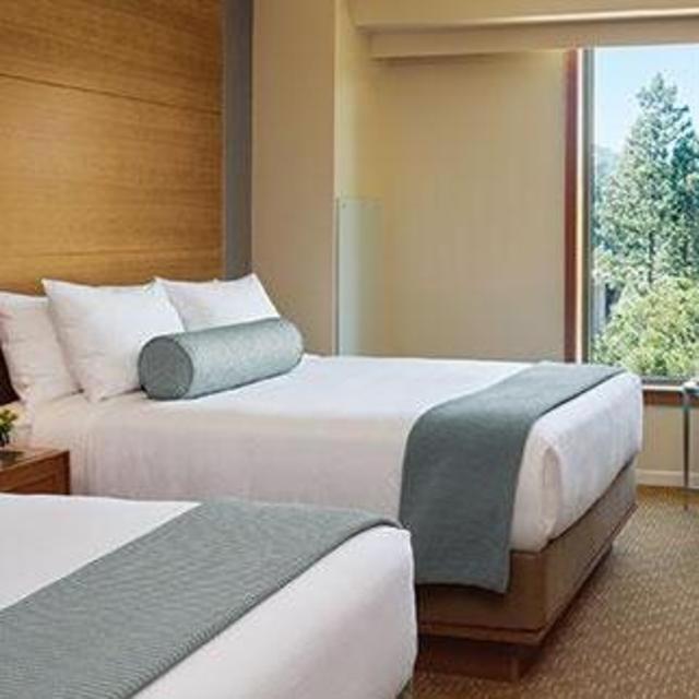 Honeymoon - a soft bed & a hot shower