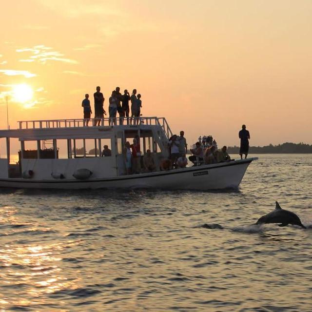 Sunset Dolphin Cruise On Our Honeymoon