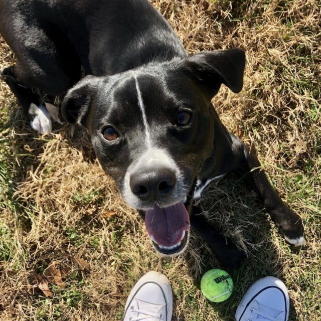 Carl's Care (while we're away)!