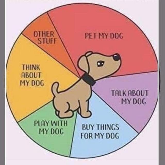 Humane Society of Fairfax County