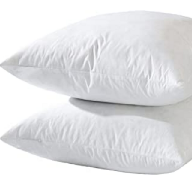 20x20 Decorative Throw Pillow Inserts-Down Feather Pillow Inserts-Square-Cotton Fabric-Set of 2-White
